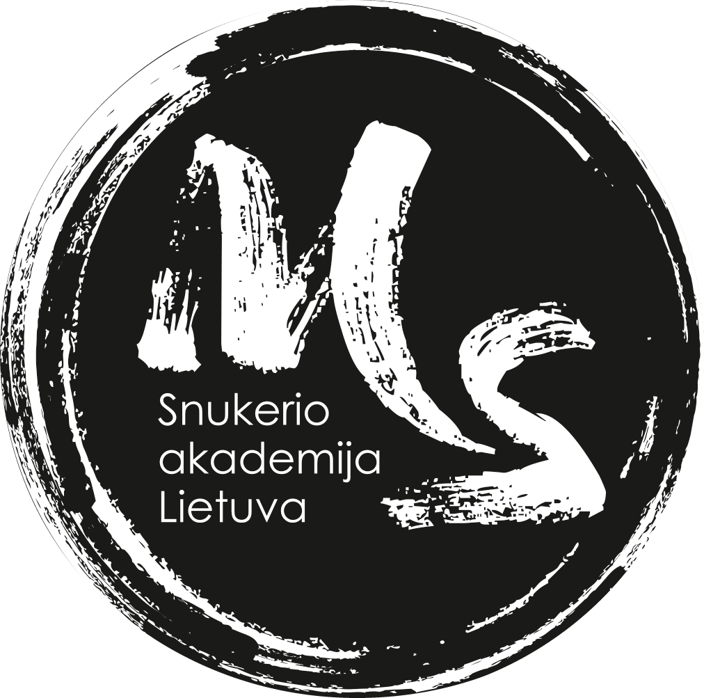 Snukerio akademija logotipas