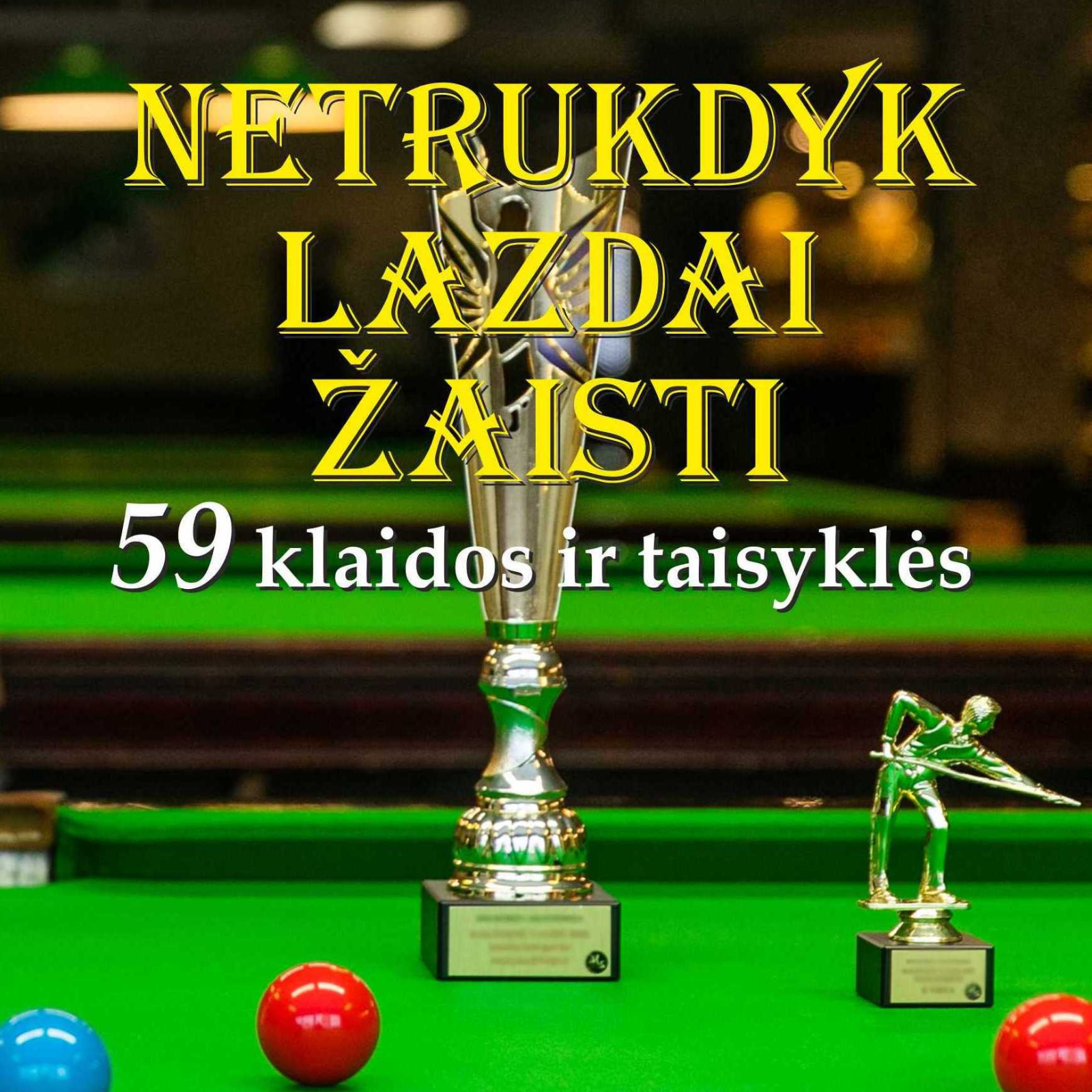 Knyga netrukdyk lazdai žaisti